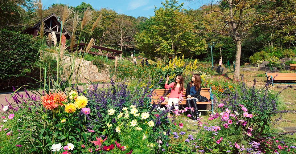 關西旅遊-神戶布引香草園（含交通攻略）：園裡滿是清香的散步約會聖地 @右上世界食旅