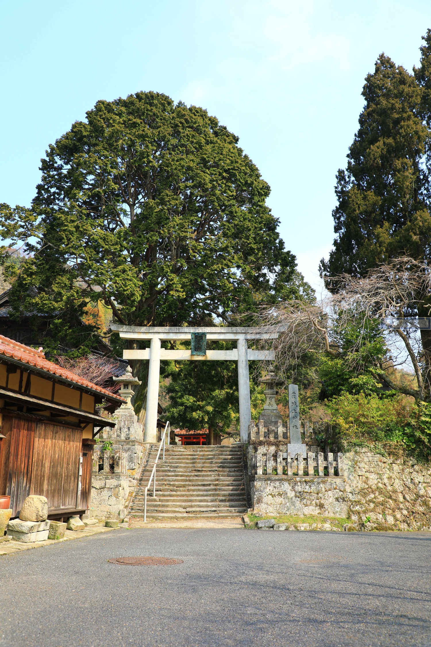島根旅遊-大森町 城上神社：創建600年指定有形文化財．天花板的鳴龍好威猛 @右上世界食旅