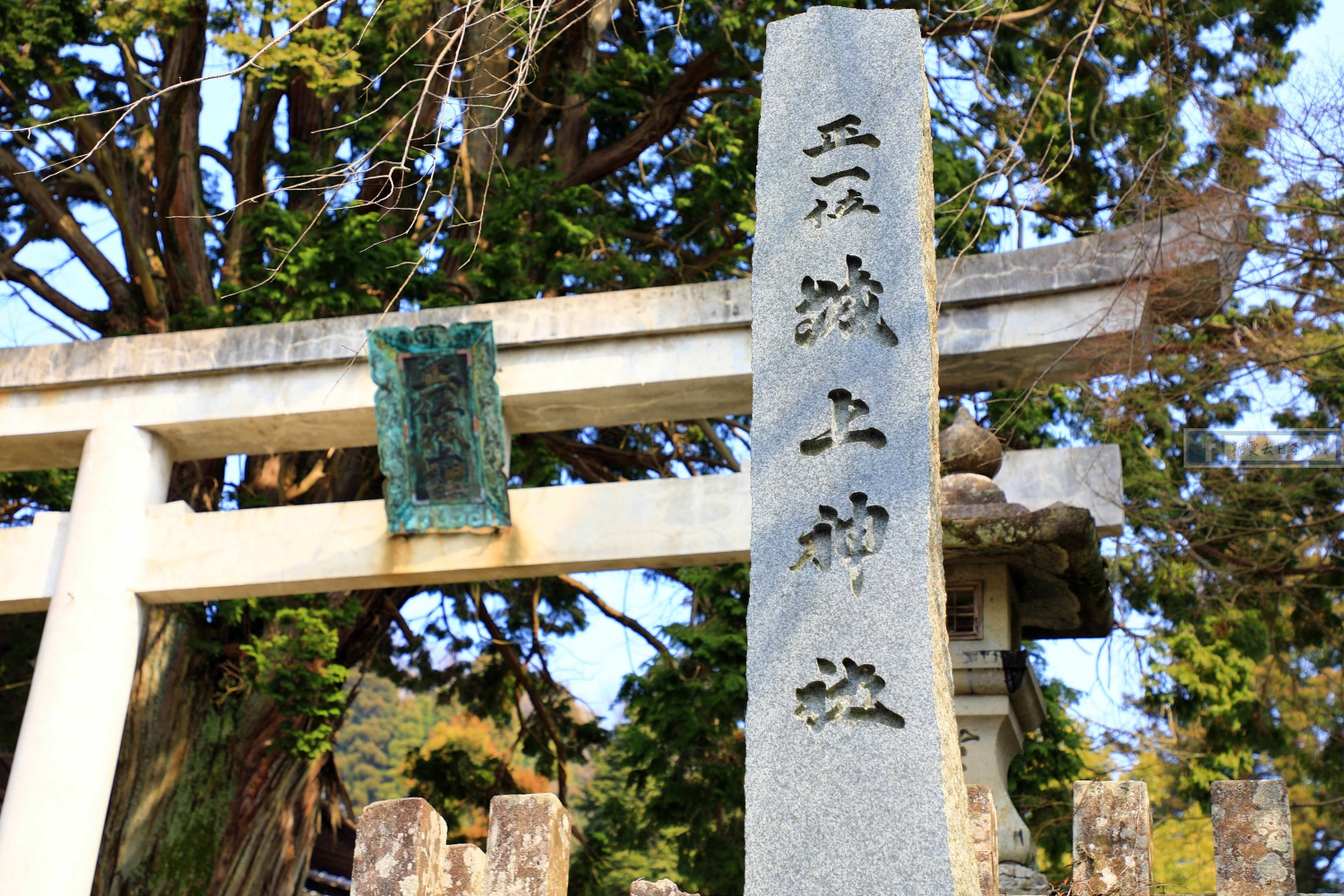 島根旅遊-大森町 城上神社：創建600年指定有形文化財．天花板的鳴龍好威猛 @右上世界食旅