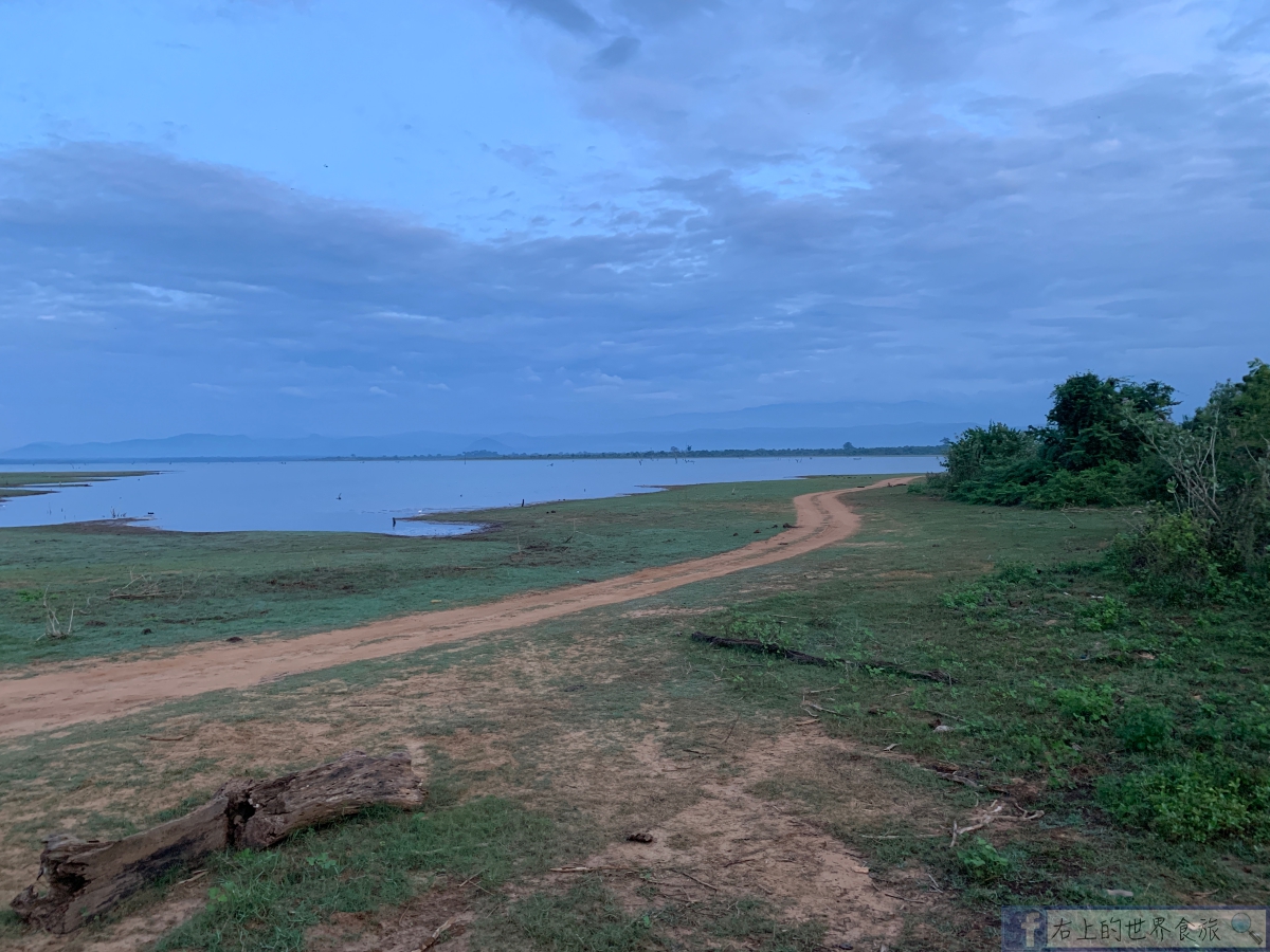 斯里蘭卡11-大象、孔雀、水牛、珍奇鳥類看不完的野生動物天堂：Udawalawe National Park @右上世界食旅