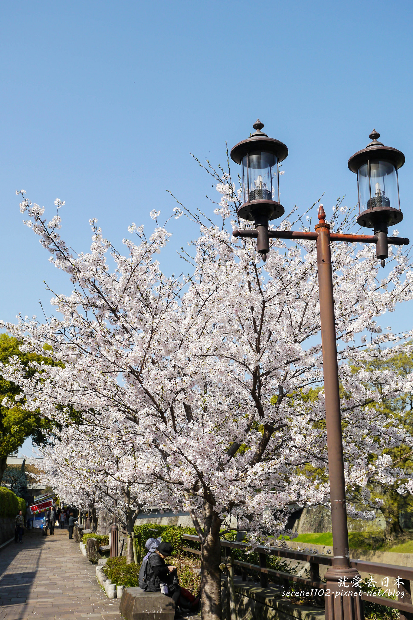 九州 熊本城｜修復中與原始樣貌，含交通攻略：櫻花名所百選、日本三大城 @右上世界食旅