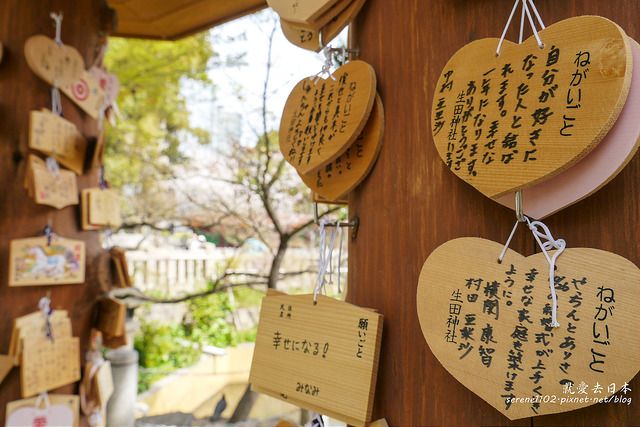 神戶賞櫻-生田神社．三月櫻．交通攻略 @右上世界食旅