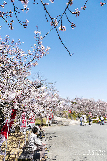 日本必遊第一名城：姬路城，秋楓春櫻關西最佳景點，每年500萬人潮絡繹不絕 @右上世界食旅