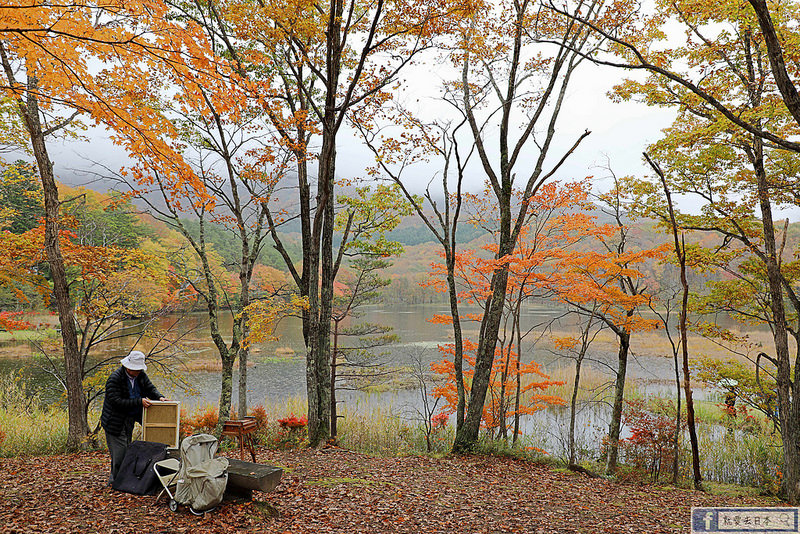 福島旅遊 賞楓-最美秋景免費參觀：觀音沼森林公園 @右上世界食旅