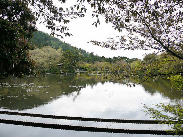 京都旅遊｜龍安寺：世界文化遺產，英國女皇指名造訪的庭園舉世聞名 @右上世界食旅