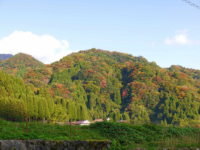 【大分．中津景點】峽谷奇景．日本國家天然紀念物：猿飛甌穴群．稻草人祭典 @右上世界食旅