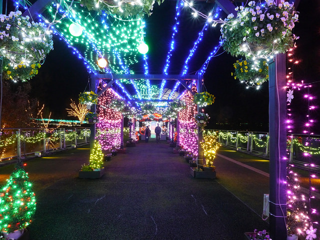 鳥取旅遊-鳥取花迴廊（含交通攻略）：日本最大花卉公園，140萬顆夜燈祭典 @右上世界食旅