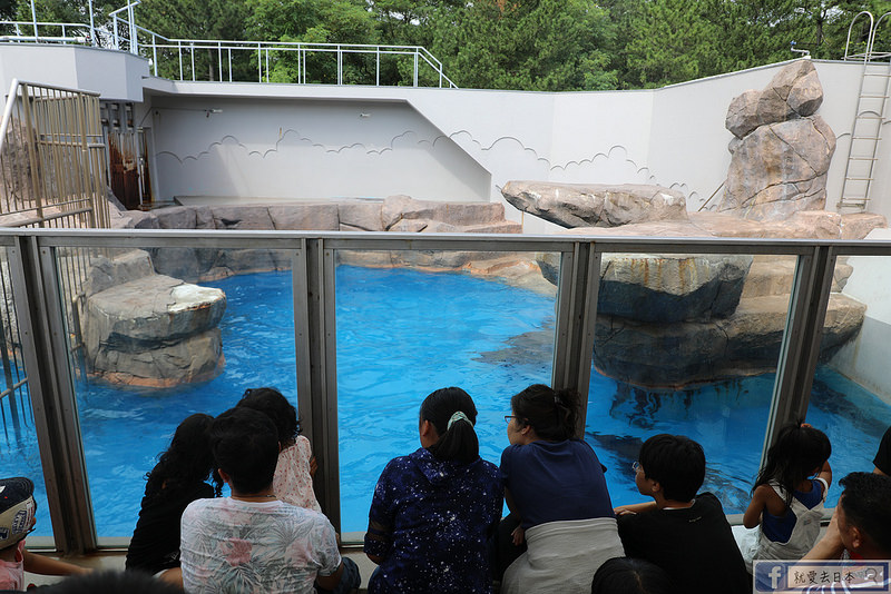 【新潟旅遊】新潟水族館marinepia日本海：2萬種水中生物，天天看企鵝、海獺、海獅餵食秀 @就愛去日本 - 右上的世界食旅