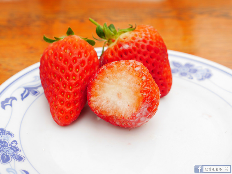 新潟旅遊-採越後姬草莓、藍莓、葡萄、洋梨+美味義式冰淇淋：白根水果花園 @右上世界食旅