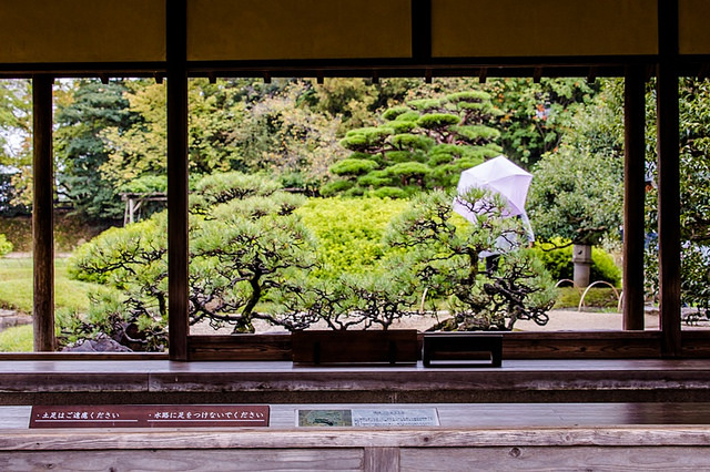 岡山 二日旅遊行程-2：日本三大園「岡山後樂園」、果園採麝香葡萄、午餐：串兵衛串炸 @右上世界食旅