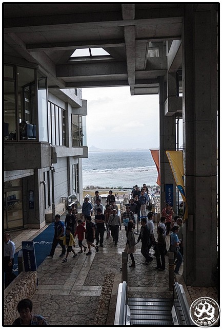沖繩景點：亞洲最大！沖縄美ら海水族館 @右上世界食旅