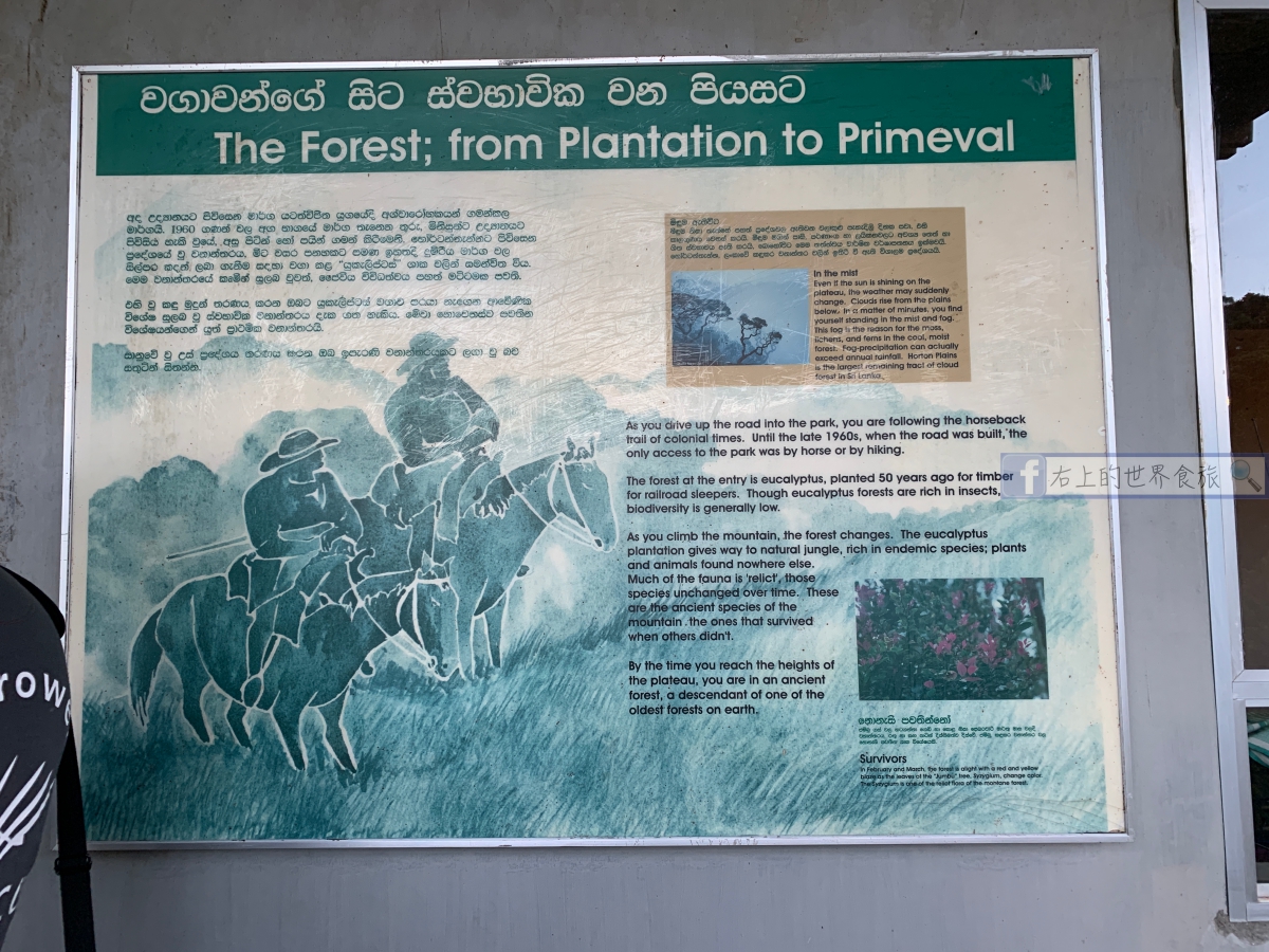 斯里蘭卡5-必遊世界遺產：霍頓平原．世界的盡頭（Horton Plains National Park） @右上世界食旅
