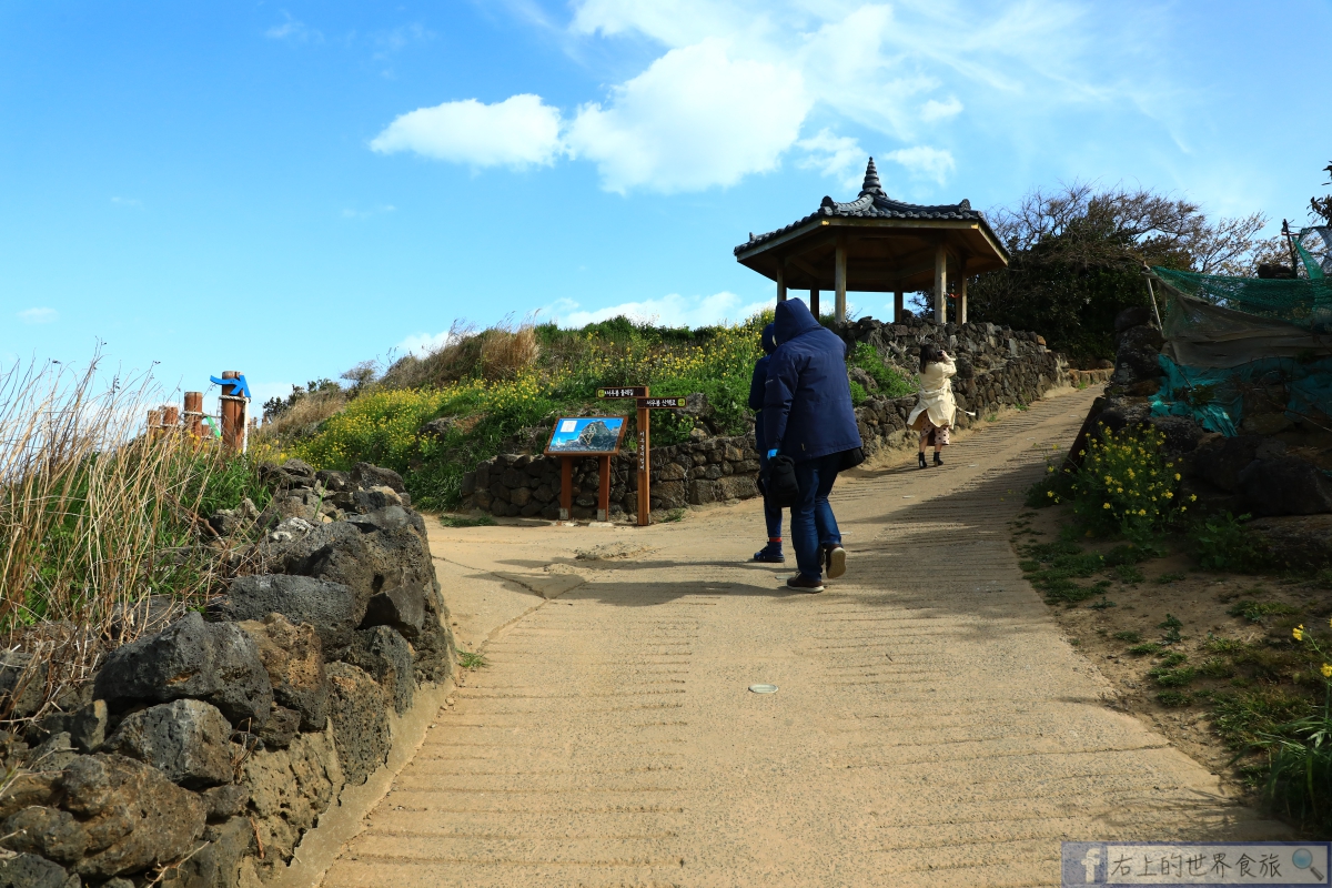 濟州島旅遊-犀牛峰海畔油菜花田散步．花浪海浪美景看不完 @右上世界食旅