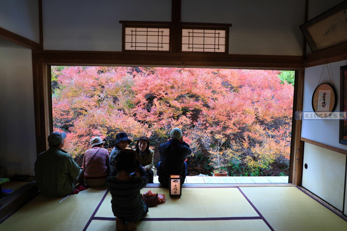 兵庫旅遊-但馬安國寺：秋季來訪如畫般的150年紅葉名景 @右上世界食旅