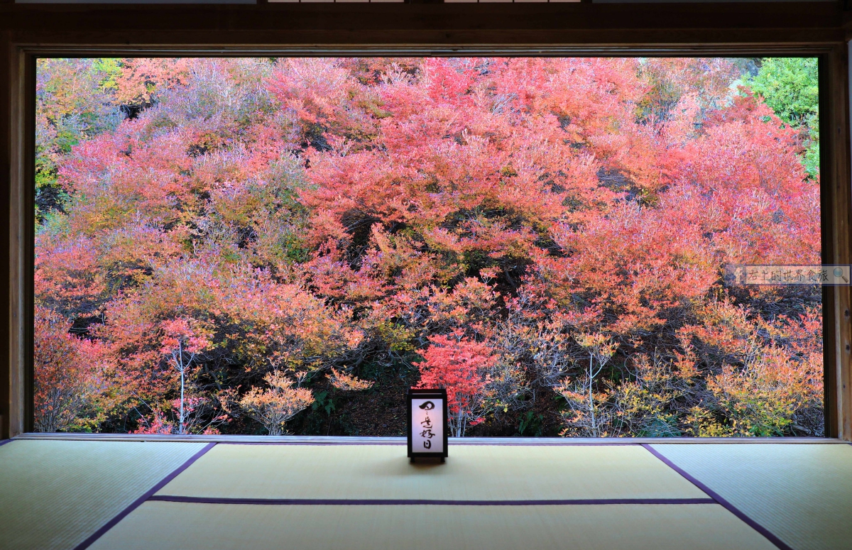 兵庫旅遊-但馬安國寺：秋季來訪如畫般的150年紅葉名景 @右上世界食旅