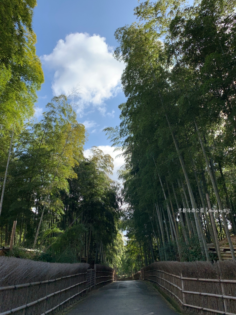 別再去嵐山人擠人！京都秘境：洛西竹林公園&#038;日本最辣一條街美食：激辛商店街 @右上世界食旅