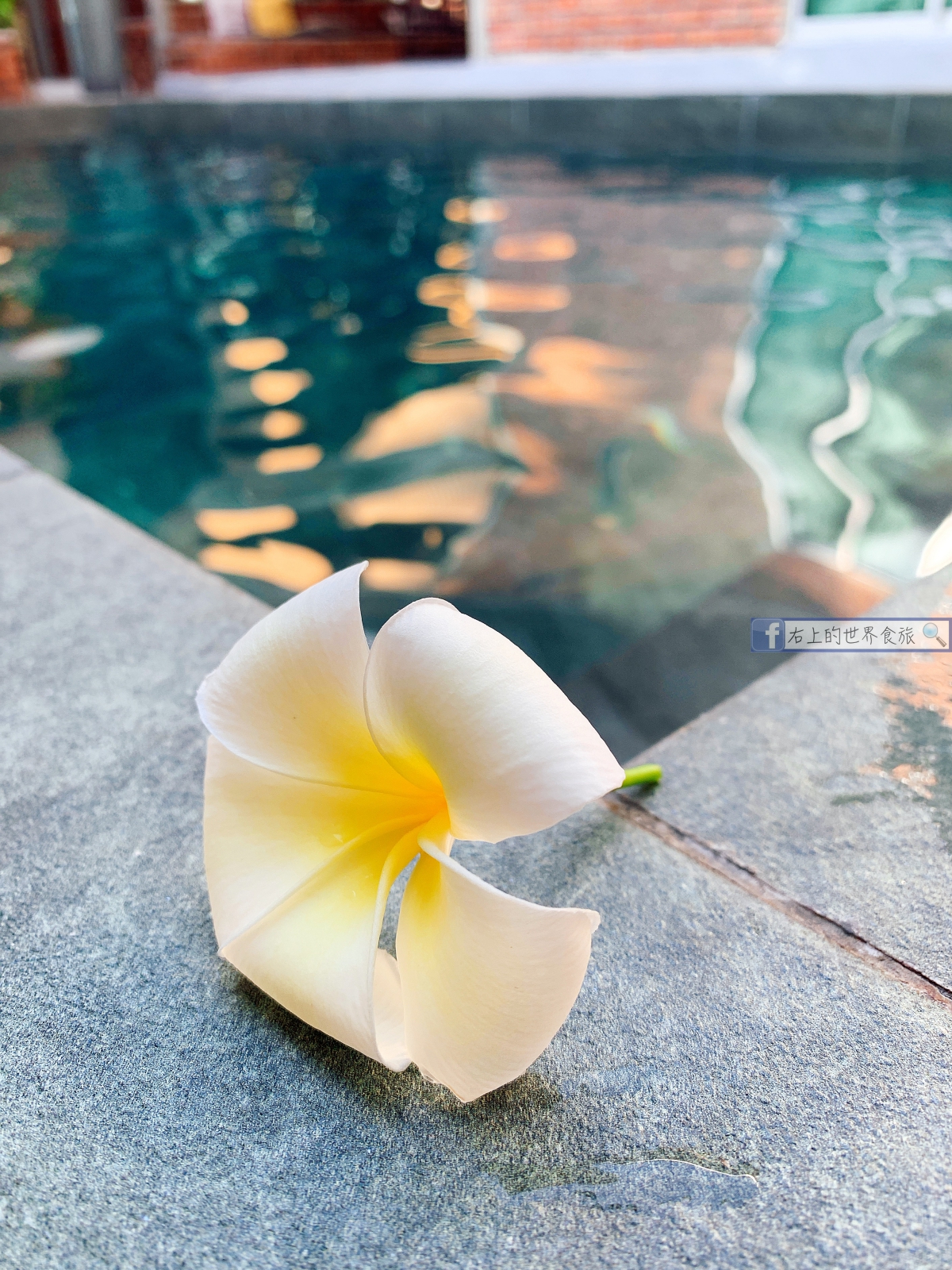 新馬行程3-蘭卡威泳池屋，游泳泡水玩三天的絕佳度假選擇：Tanjung Rhu Pool Villa @ TRV @右上世界食旅