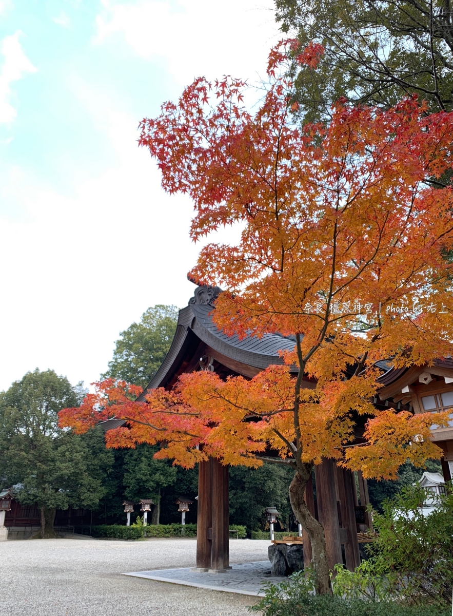 奈良旅遊-橿原神宮：日本首位天皇宮殿原址創建．大和八木站住宿推薦 @右上世界食旅