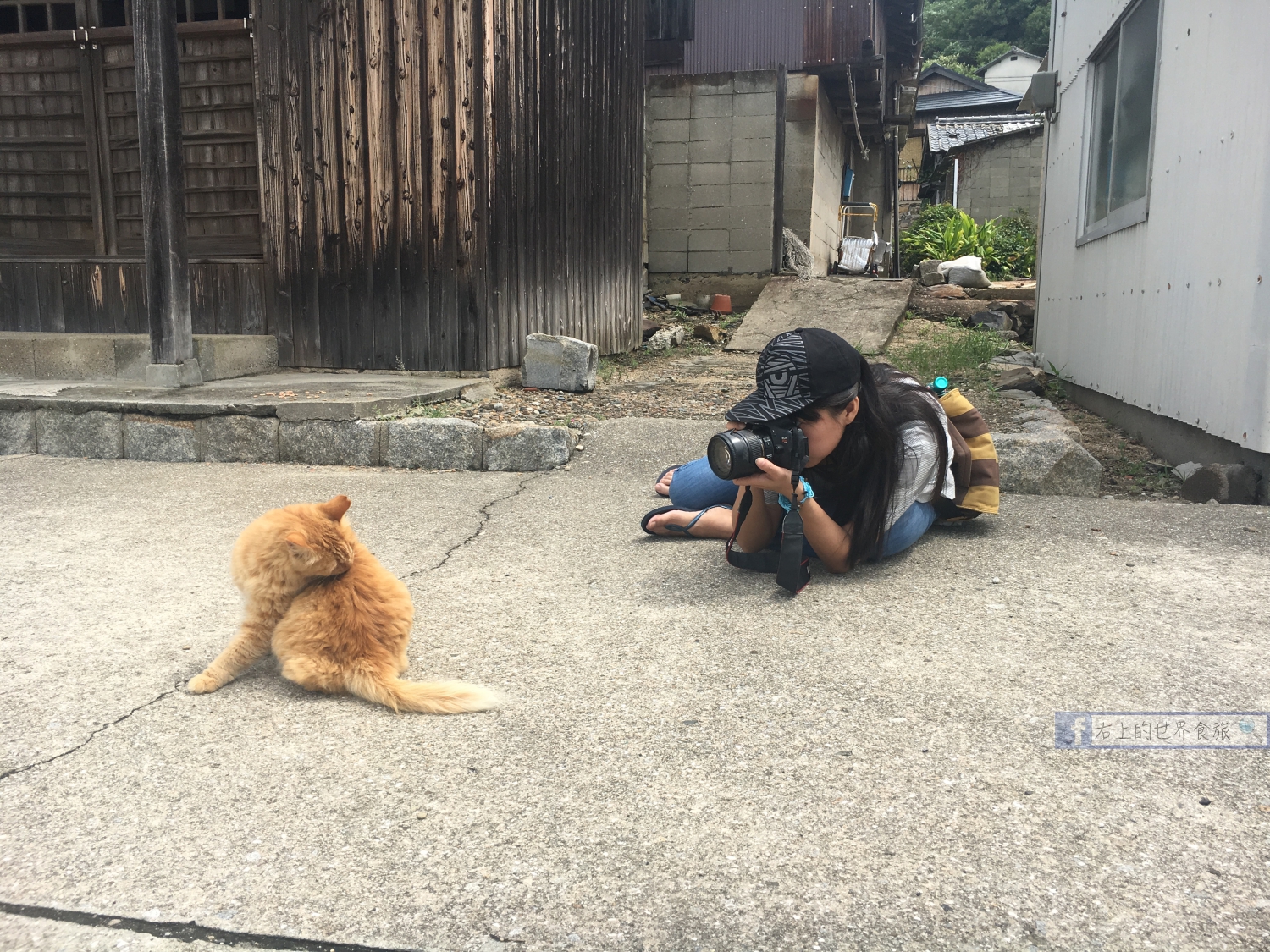 香川 男木島、女木島一日行程：貓咪．藝術品．瀨戶內海跳島之旅 @右上世界食旅