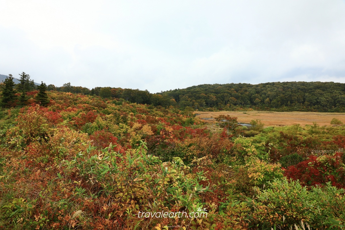 秋田超隱藏絕美秘境！須川湖、濕原秋季色彩繽紛的絕景 @右上世界食旅