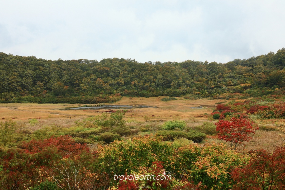 秋田超隱藏絕美秘境！須川湖、濕原秋季色彩繽紛的絕景 @右上世界食旅