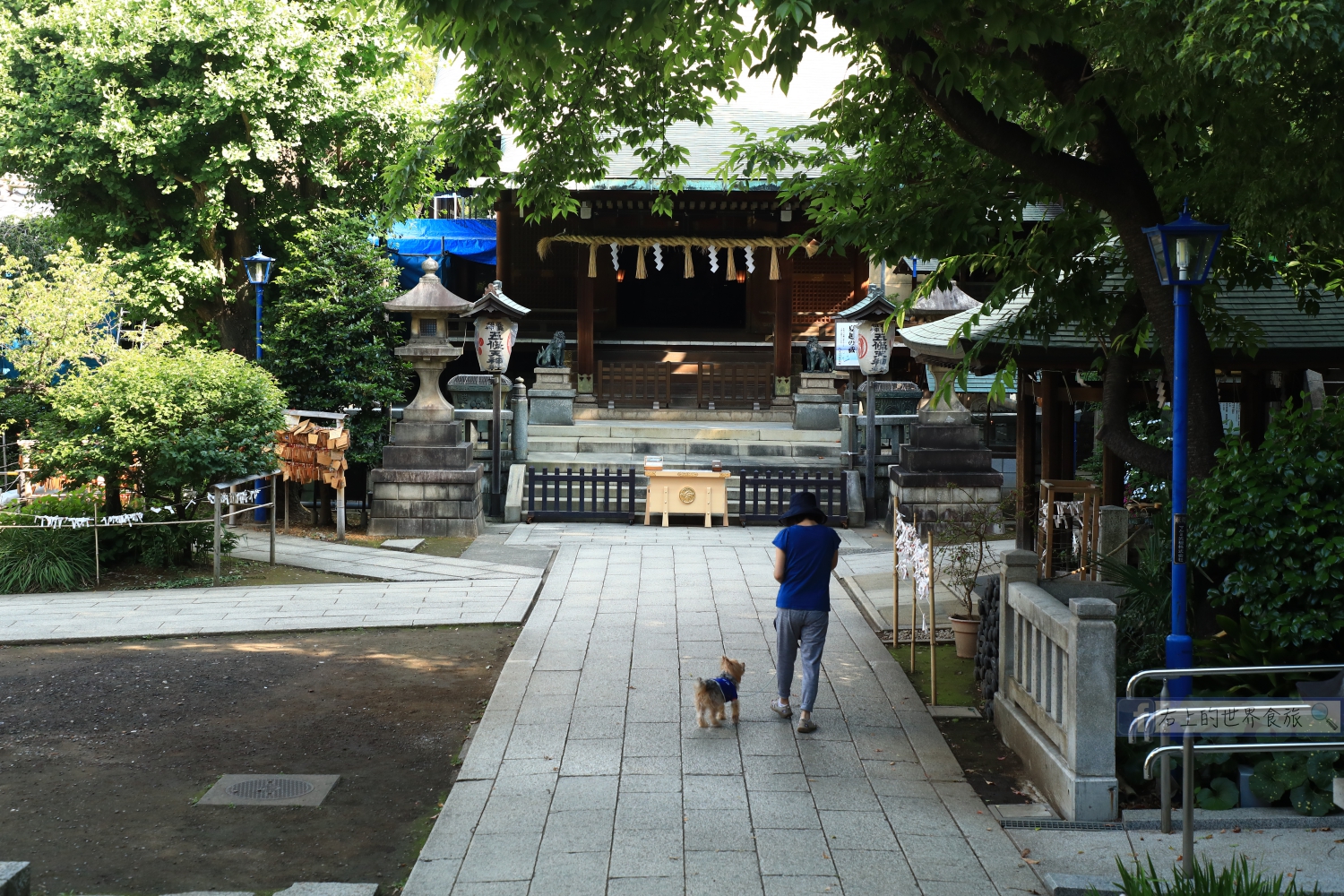 櫻花與星巴克齊聚的上野恩賜公園！東京上野旅遊免費美景 @右上世界食旅