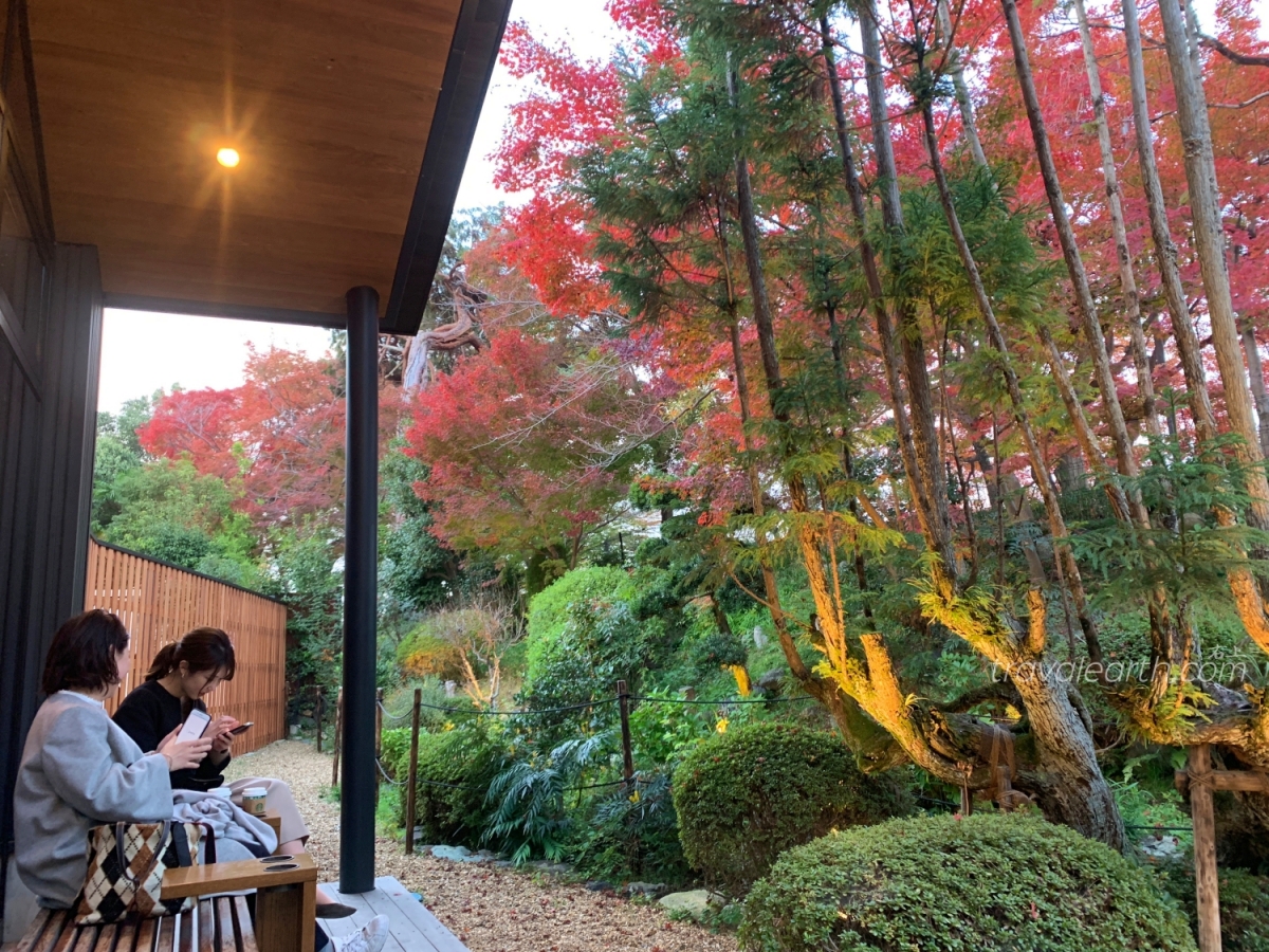 和風星巴克又一間！超美秋楓春櫻庭院：京都宇治平等院表參道店 @右上世界食旅