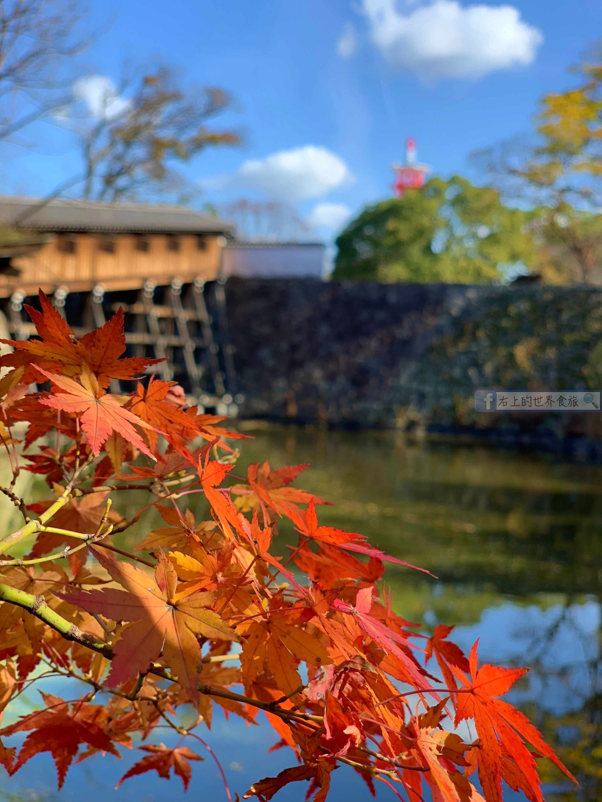 和歌山城：日本百大名城．西之丸庭園的楓葉超級美！ @右上世界食旅