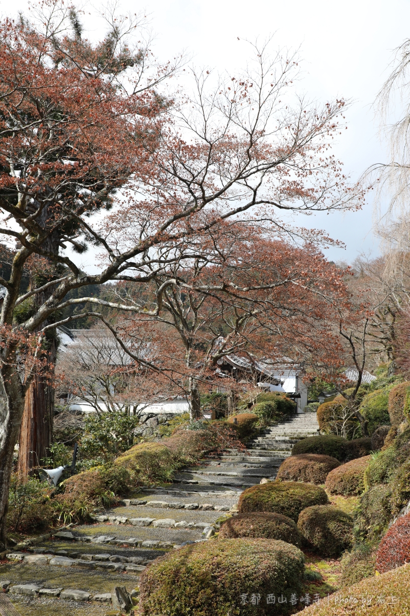 京都絕景一眼看遍．必去秘境美寺：西山善峯寺 @右上世界食旅